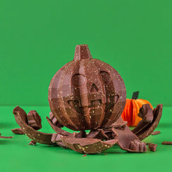 Milk Chocolate Pumpkin with bugs inside – view 5